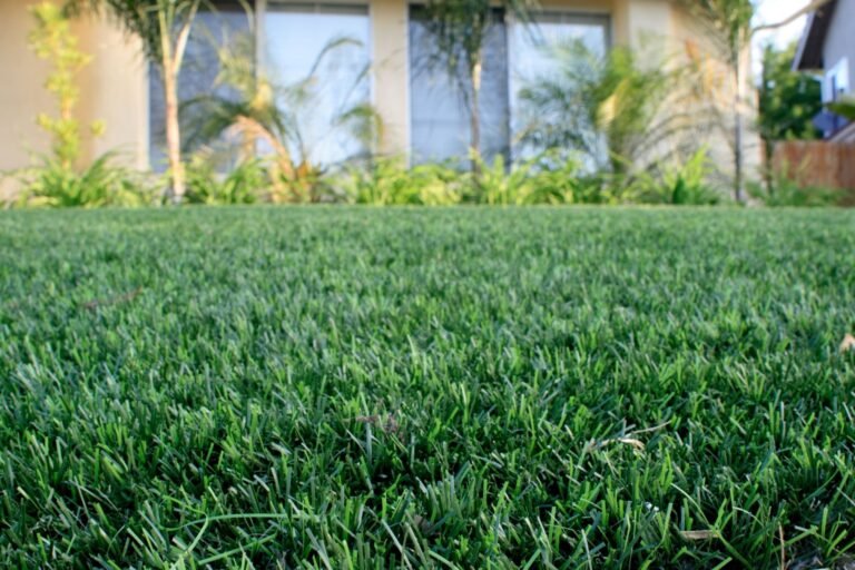 Artificial Turf in Calgary: Is It Worth It for Alberta's Climate?