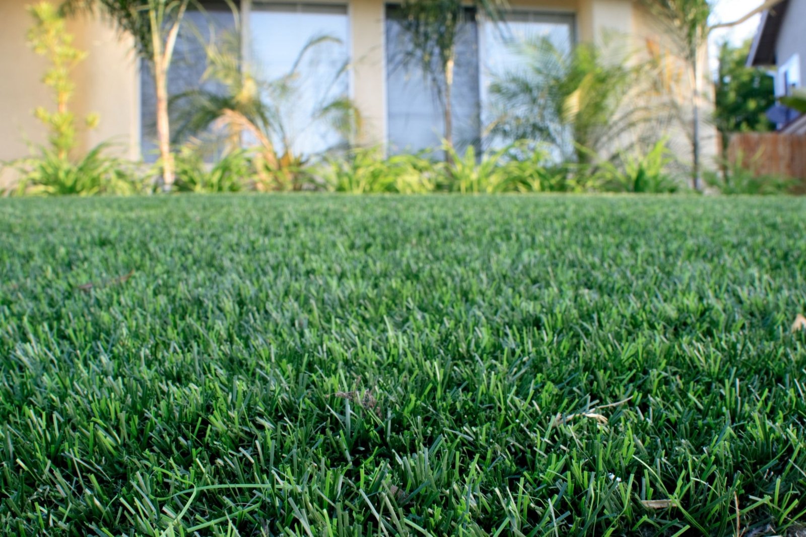 Artificial Turf in Calgary: Is It Worth It for Alberta's Climate?